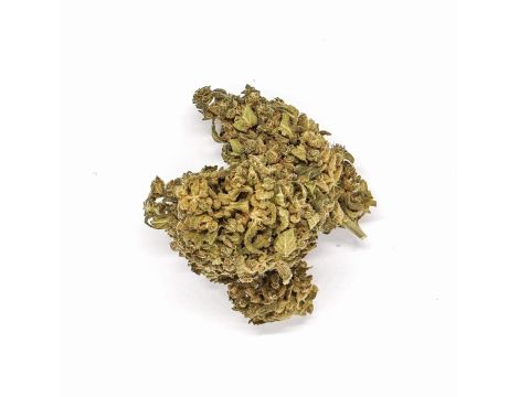 Sativa Poland Susz CBD Green C - 3